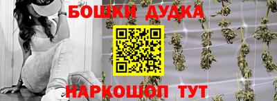 сатива Обь