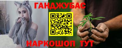 альфа пвп Новодвинск