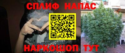 каннабис Новокубанск