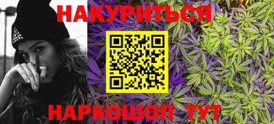 альфа пвп Новодвинск