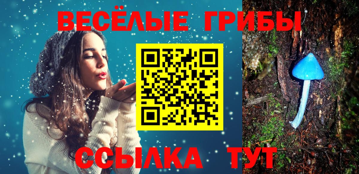 Псилоцибиновые грибы прущие грибы  Вход с VPN  Сосновый Бор 